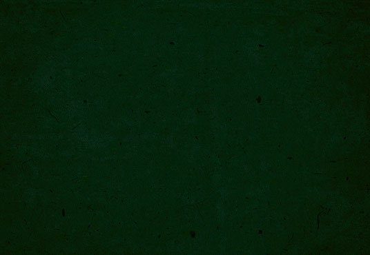 Solid Portrait Background deep green Photography Backdrop