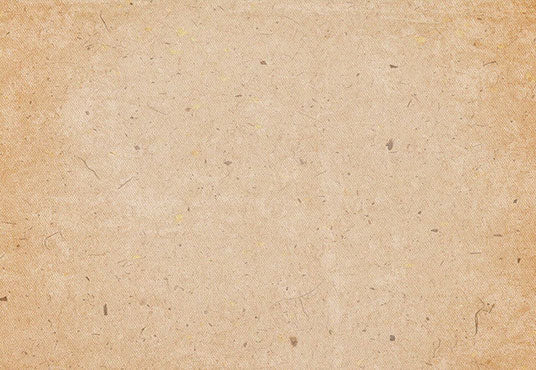 Solid Portrait Background Bright brown Photography Backdrop
