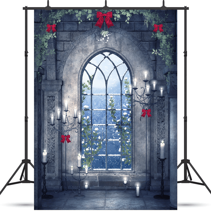 Christmas Scene Frozen Window Backdrop for Photography SBH0286