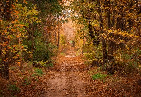 Autumn Forest Photo Booth Prop Backdrops for Photography