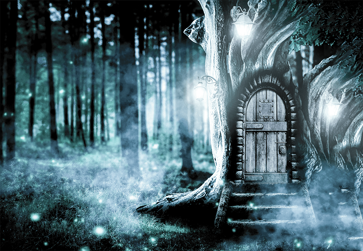 Forest White background Big House On Green Tree Background