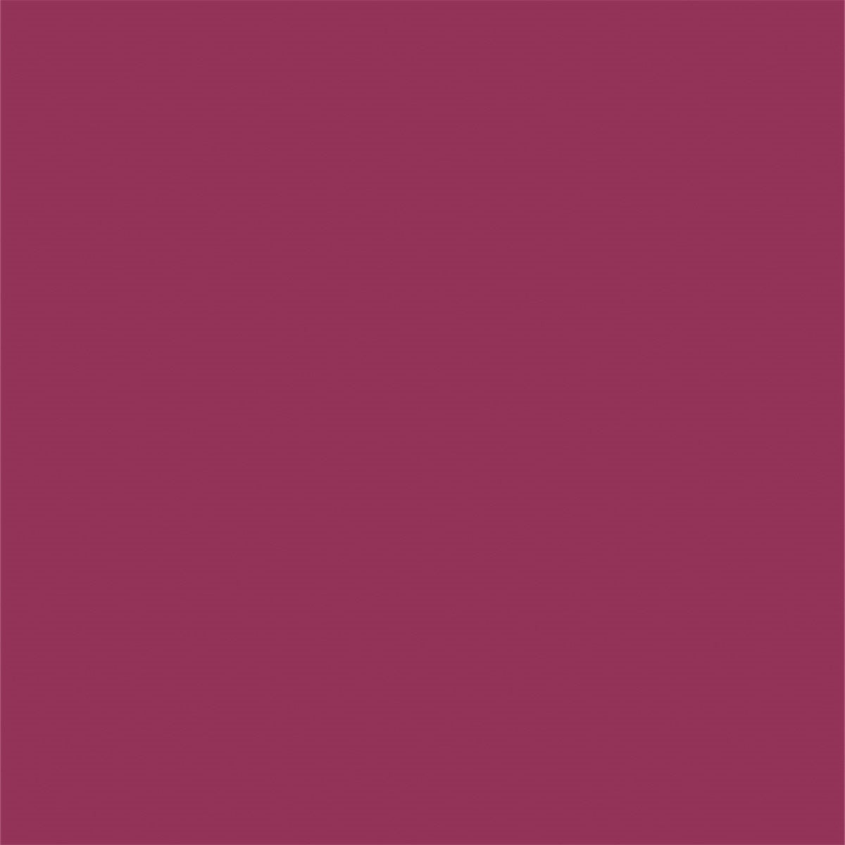 Fuchsia Portrait Photography Backdrops for Solid Background