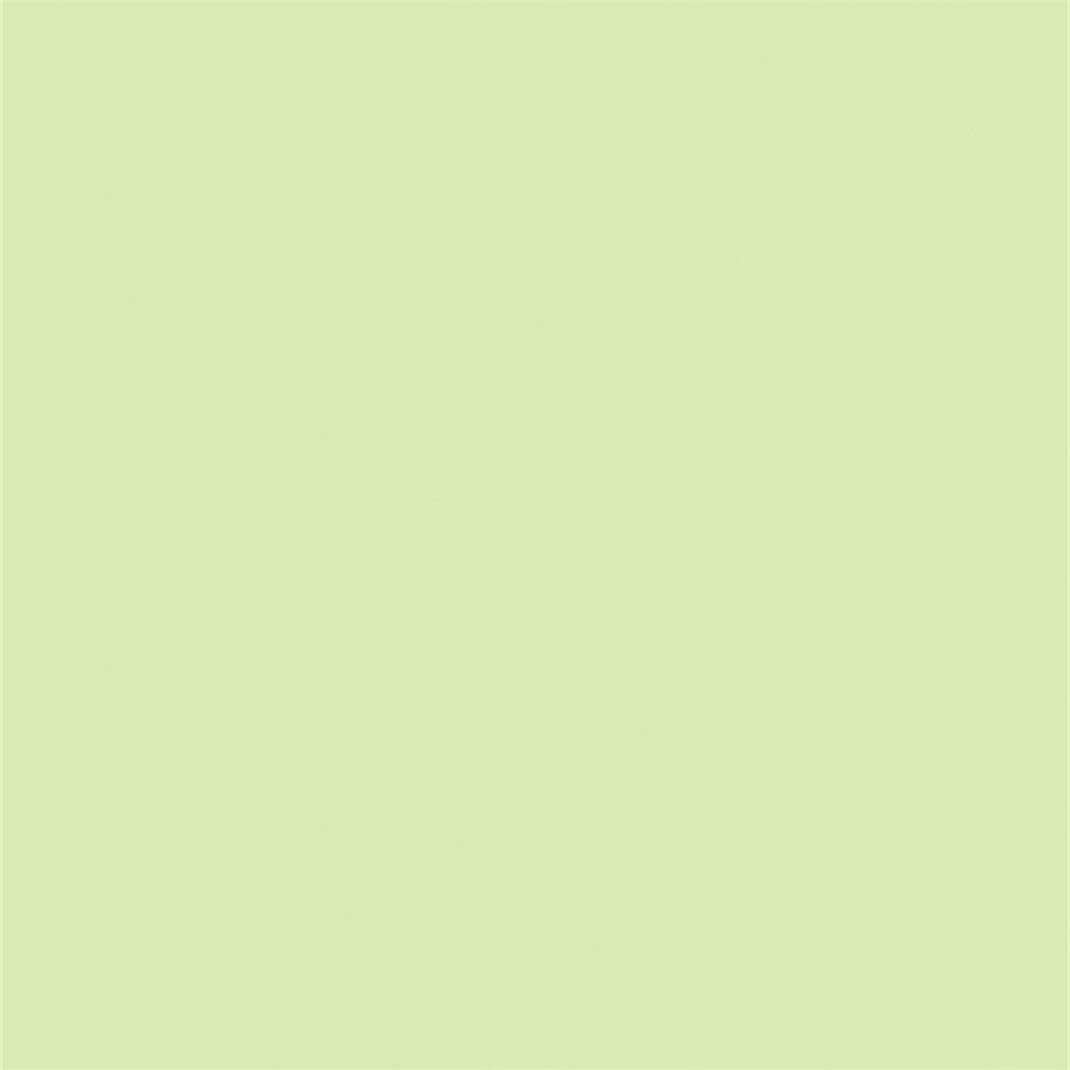 Green of Yellow Portrait Solid Photography Backdrops