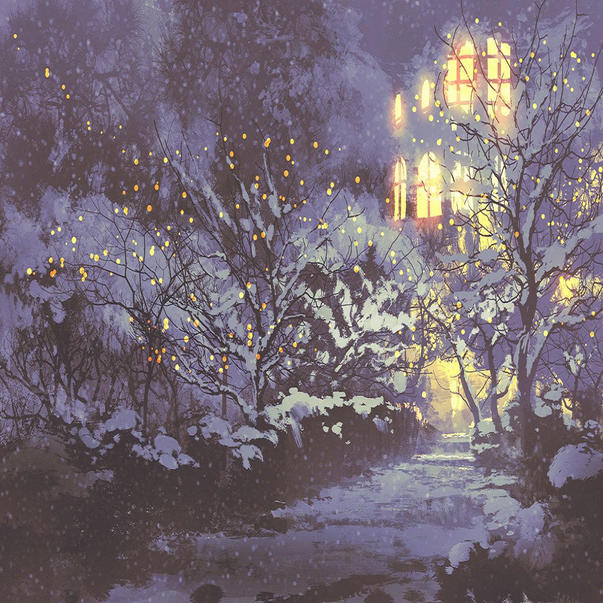 Night of Snow Photography Backdrops