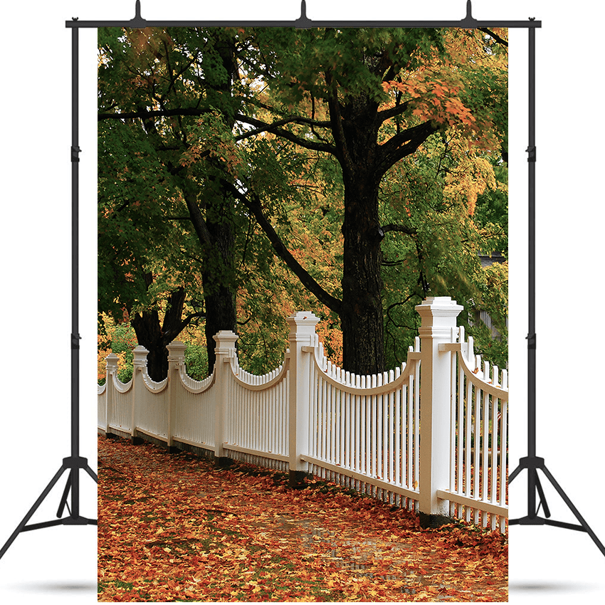 England Autumn Foliage Surrounds Backdrop For Photo SBH0613