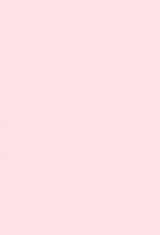 Light Pink Solid Photo Studio Backdrops