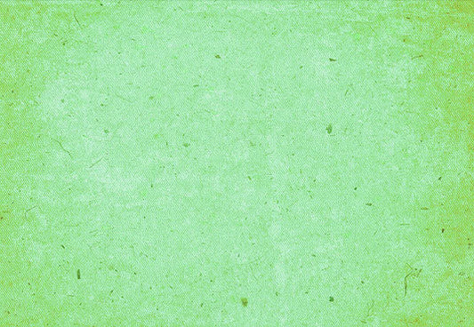 Solid Portrait Background Bright green Photography Backdrop