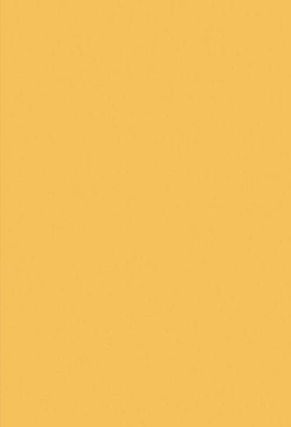 Bright Yellow Photography Backdrop for Solid Portrait Background