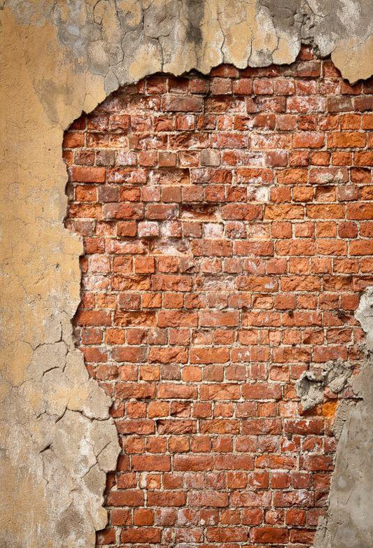Grunge Old weathered Brick Wall Backdrop Background for Photography SBH0152