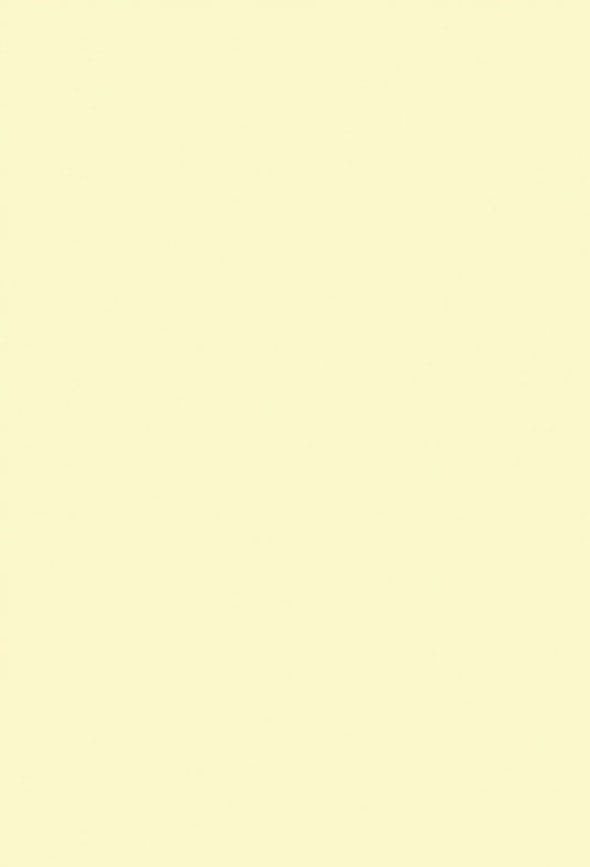 Solid Dark Ivory Cream Portrait Photo Booth Backdrops
