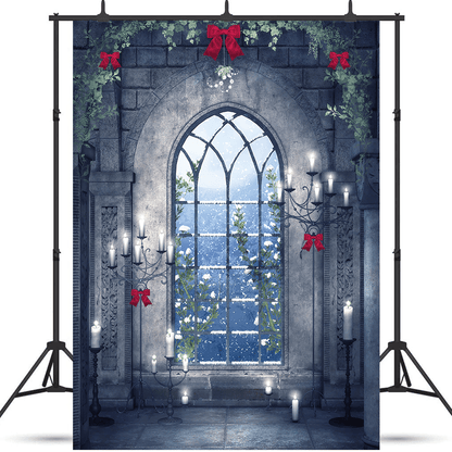 Christmas Scene Frozen Window Backdrop for Photography SBH0286