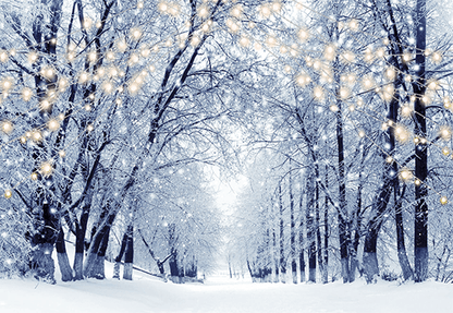 Winter Scenery Frosty Trees Backdrop for Photography SBH0244