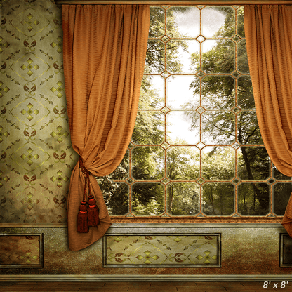 Beautiful Vintage Room with Window Photography Backdrop SBH0291