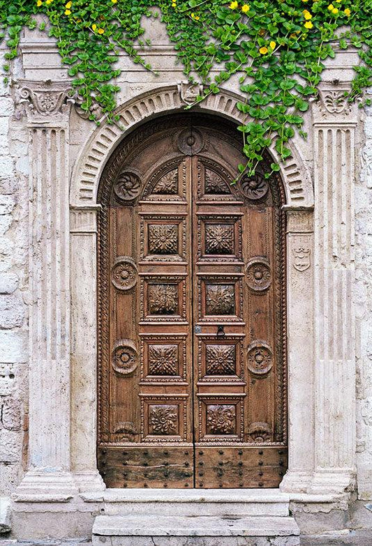 Stone House Wood Door Tree Photography Backdrops