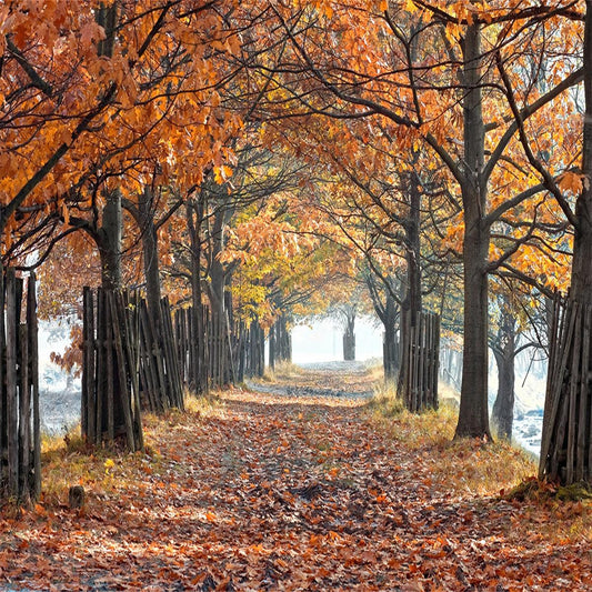 Autumn Forest Covered With Fallen Leaves Rode Backdrop