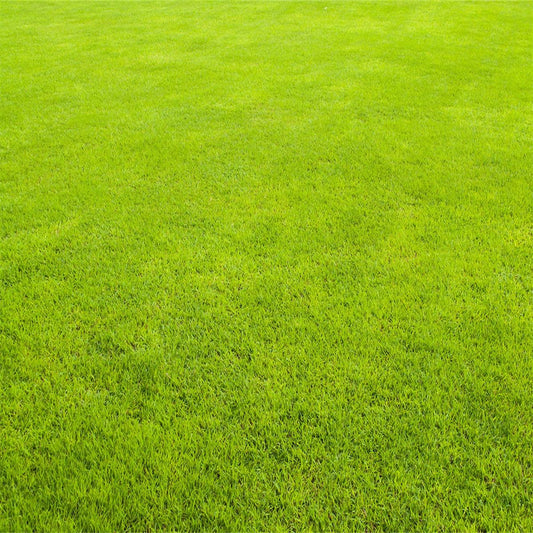 Abstract Green Pattern Photography Backdrops for Picture