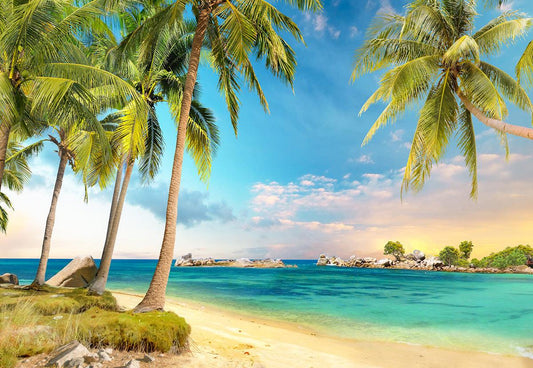 Tropical Natural Summer Sunset Over Sea Beach Backdrop for  Party Decoration KH12580