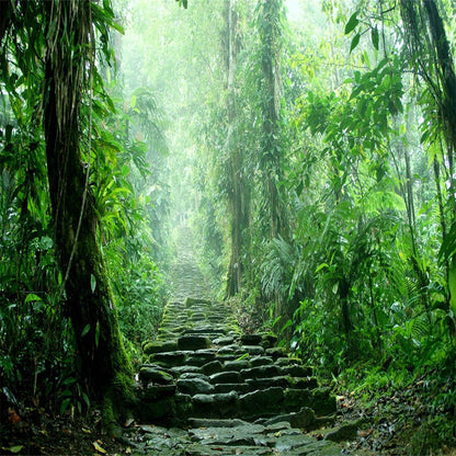 Tropical Forest Spring Green Tree Backdrop for Photography