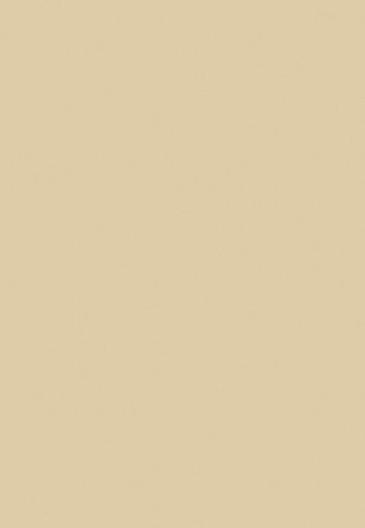 Solid Fabric Portrait Photo Booth Prop Backdrop