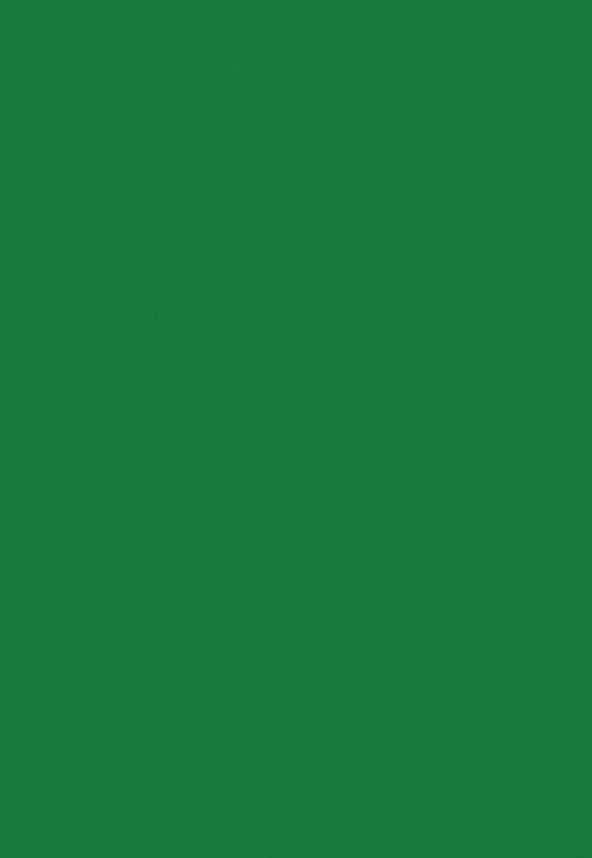 Green Solid Fabric Photography Backdrops