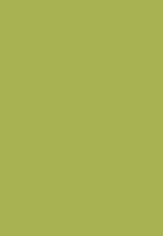 Grass Green Fabric Portrait Solid Backdrops