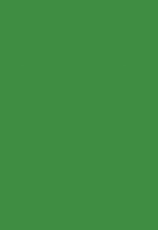 Green Solid Photo Portrait Backdrops