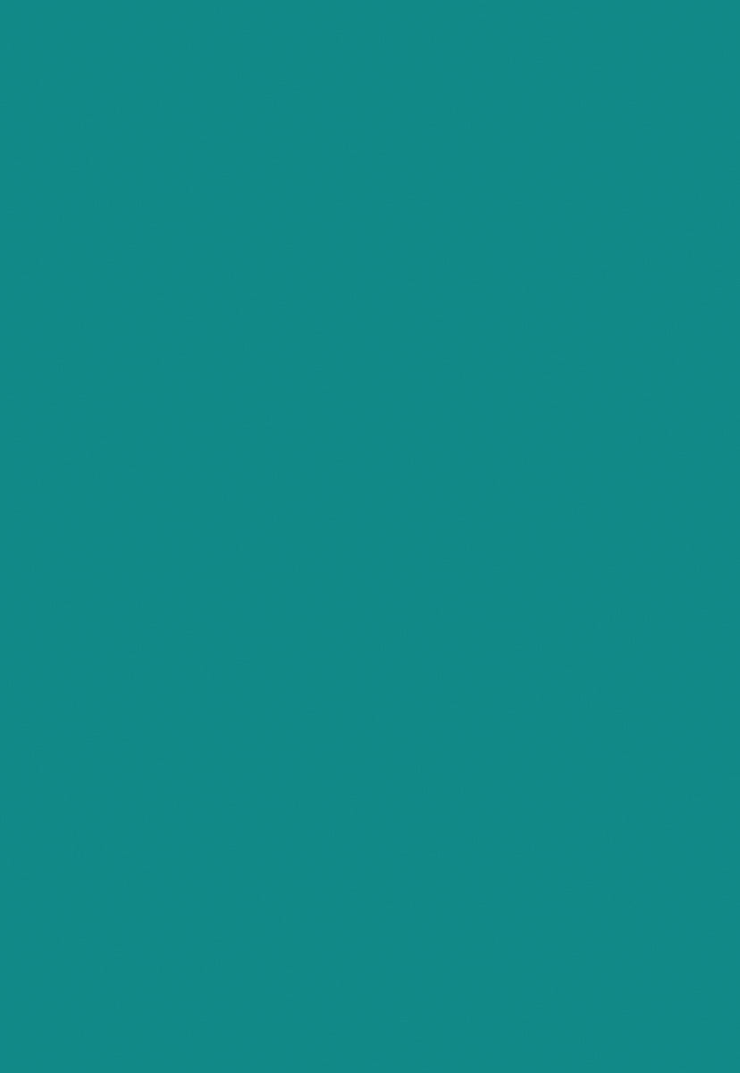 Dark Mint Solid Photo Backdrop