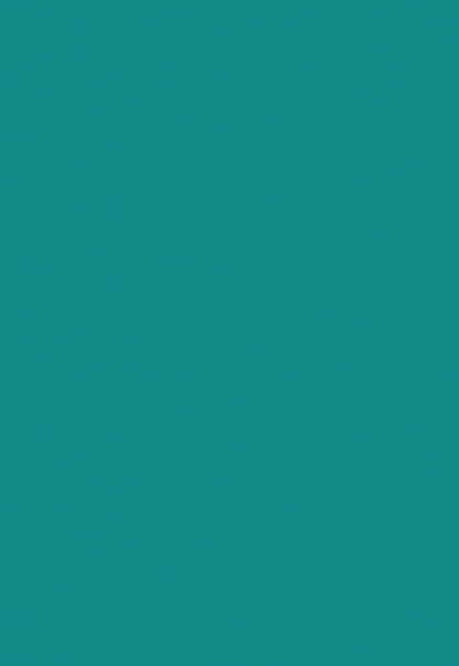 Dark Mint Solid Photo Backdrop