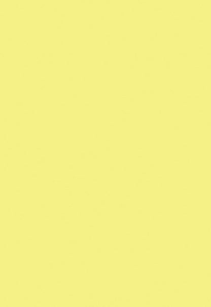 Bright Yellow Solid Color Photography Backdrops