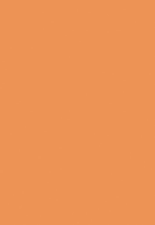 Orange Solid Photo Studio Backdrop for Photography