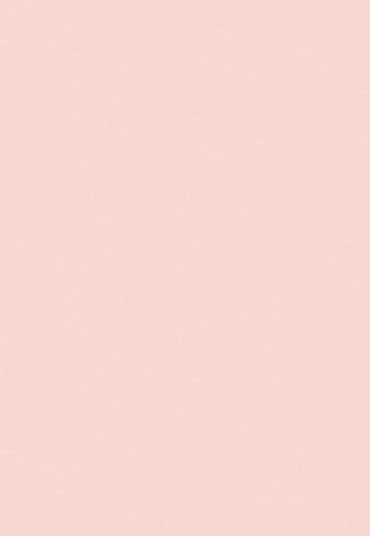 Pink Solid Photo Background for Party