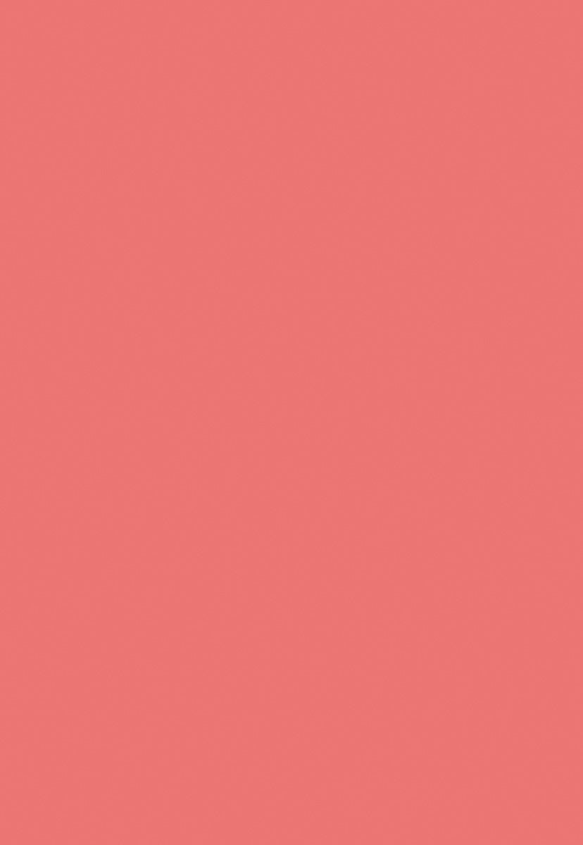 Watermelon Red Solid Newborn Backdrop