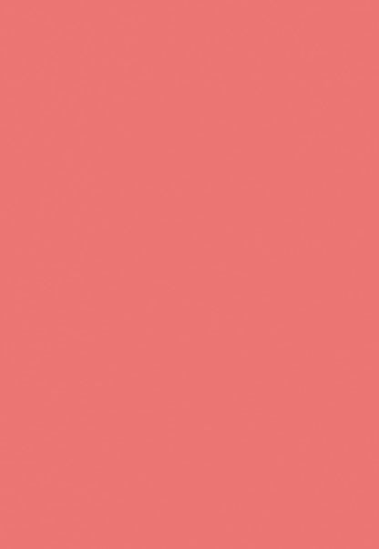 Watermelon Red Solid Newborn Backdrop