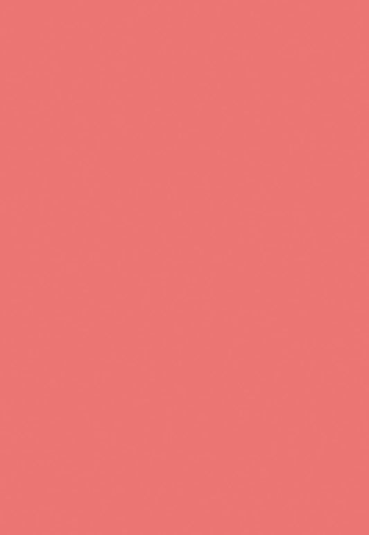 Watermelon Red Solid Newborn Backdrop