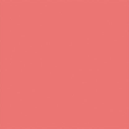 Watermelon Red Solid Newborn Backdrop
