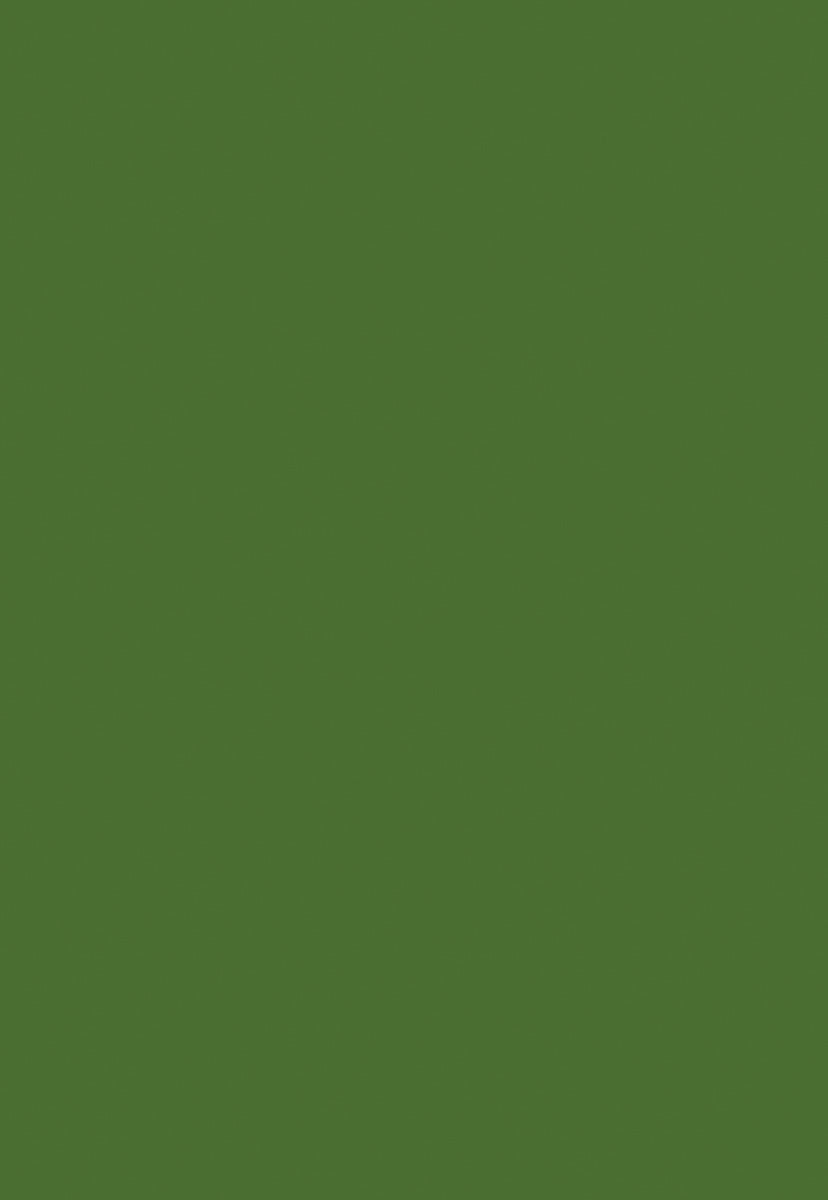 Dark Grass Green Solid Portrait Photography Backdrops for Picture