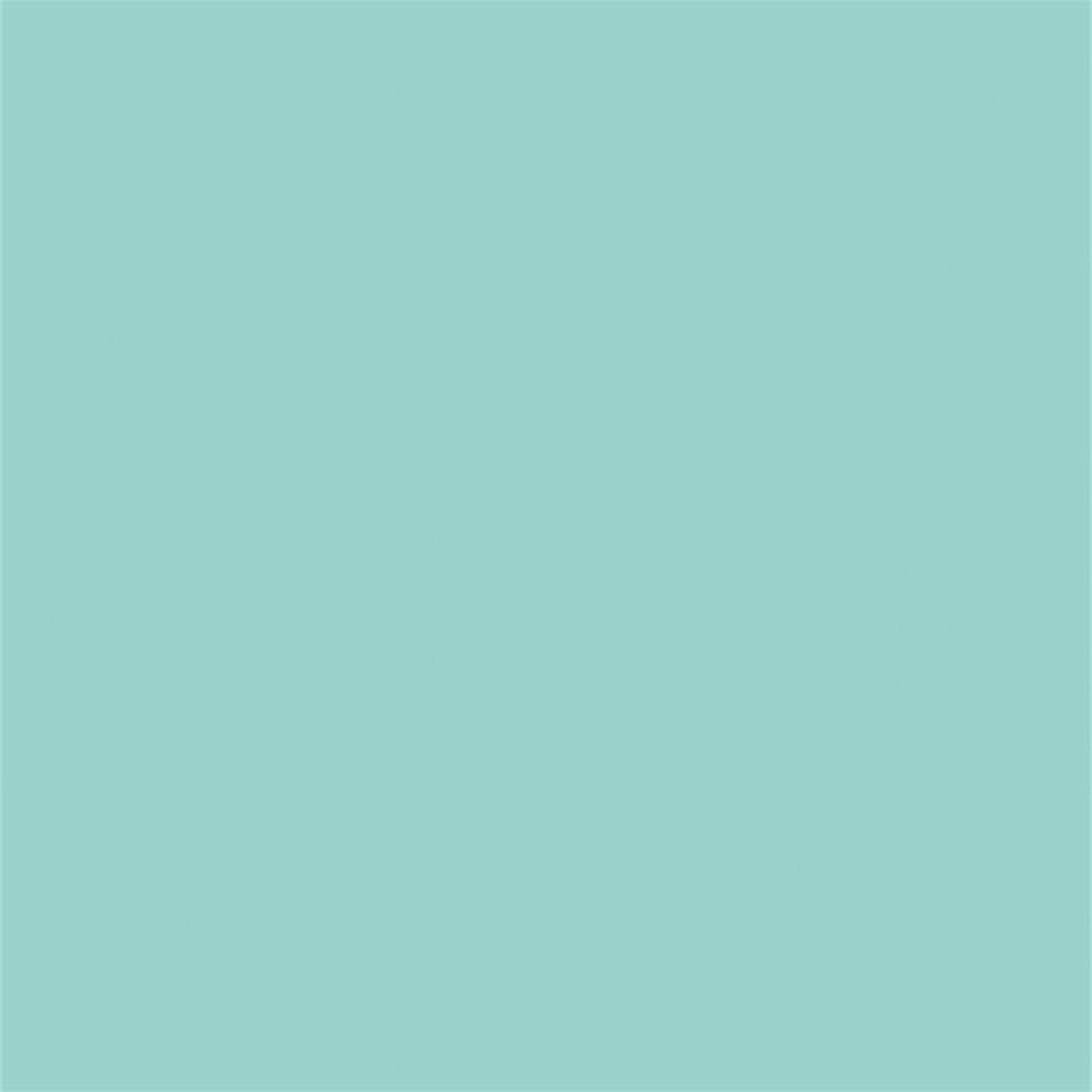 Mint Solid Color Portrait Photography Backdrops for PHOTO