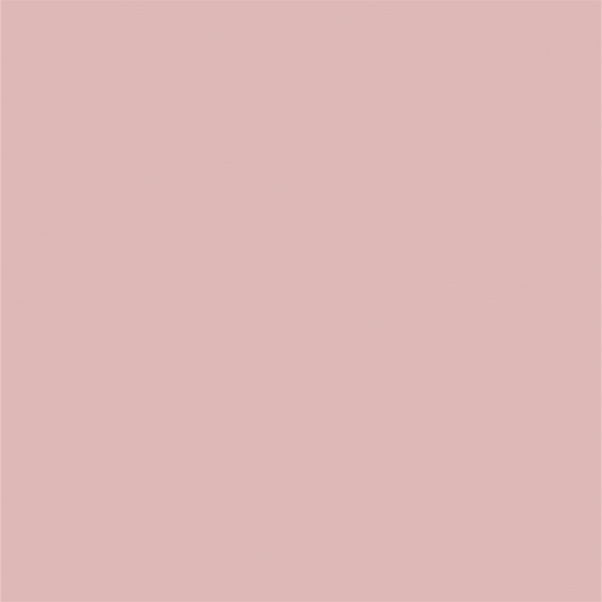 Old Pink Baby Show Solid Portrait Backdrops
