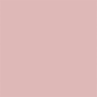 Old Pink Baby Show Solid Portrait Backdrops