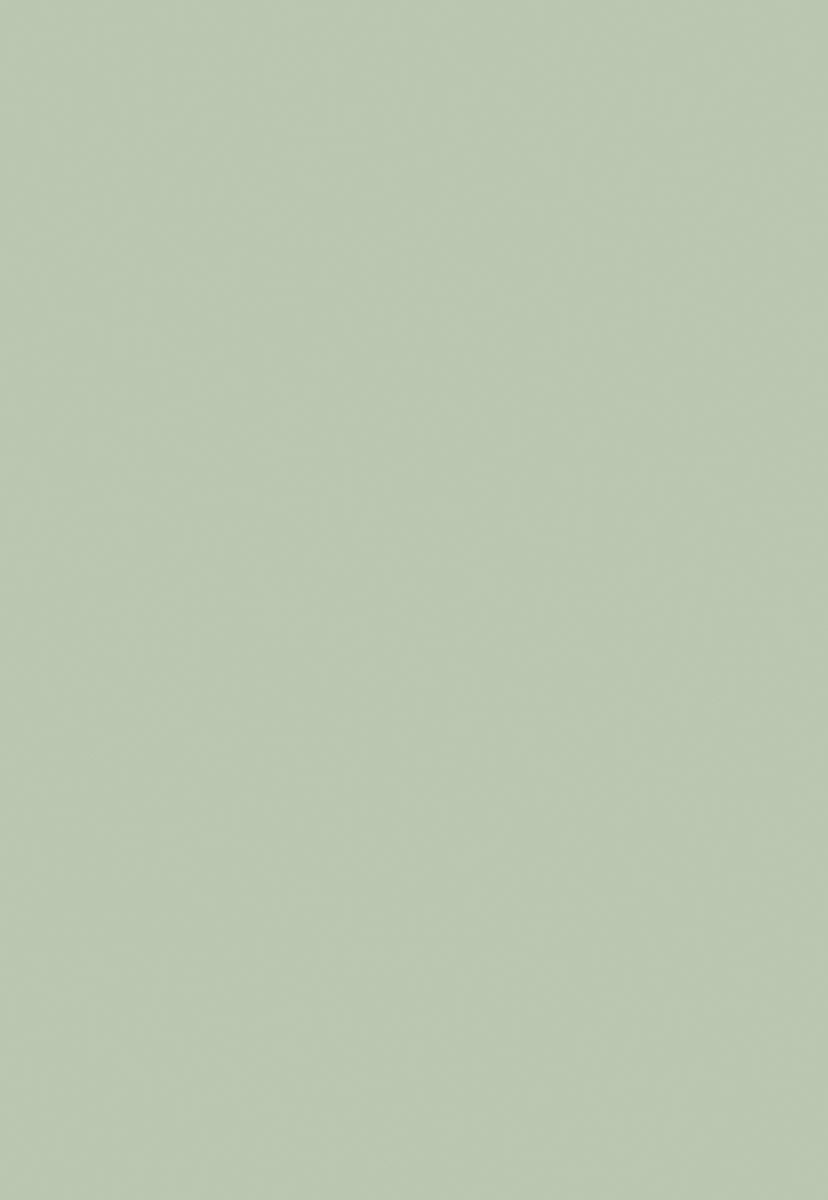 Light Green Solid Photo Backdrops for Portrait PHOTO