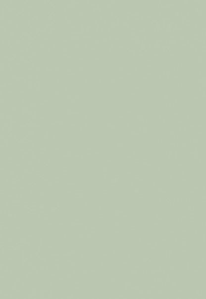 Light Green Solid Photo Backdrops for Portrait PHOTO
