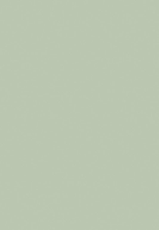 Light Green Solid Photo Backdrops for Portrait PHOTO