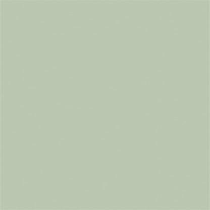Light Green Solid Photo Backdrops for Portrait PHOTO