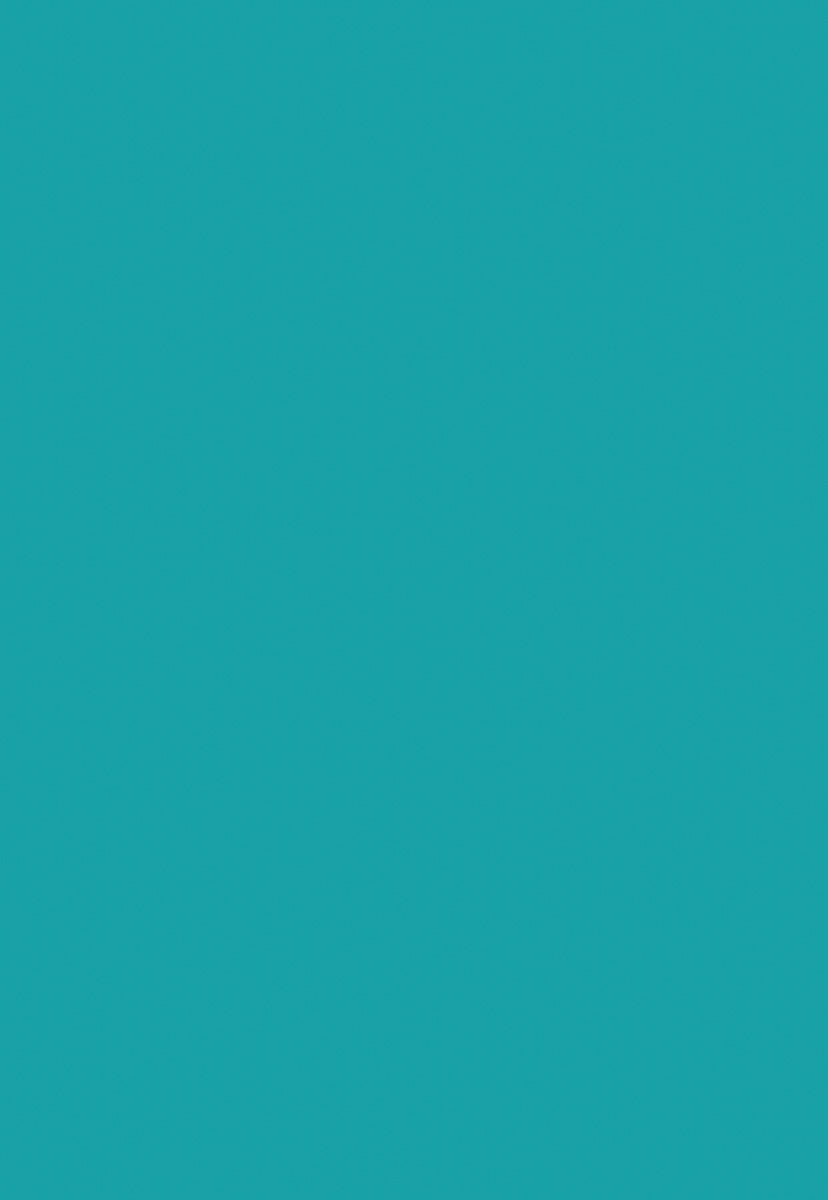 Dark Aqua Solid Photography Backdrops