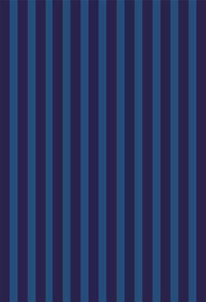Dark blue and Light blue Stripes Portrait Fabric Photography Backdrops