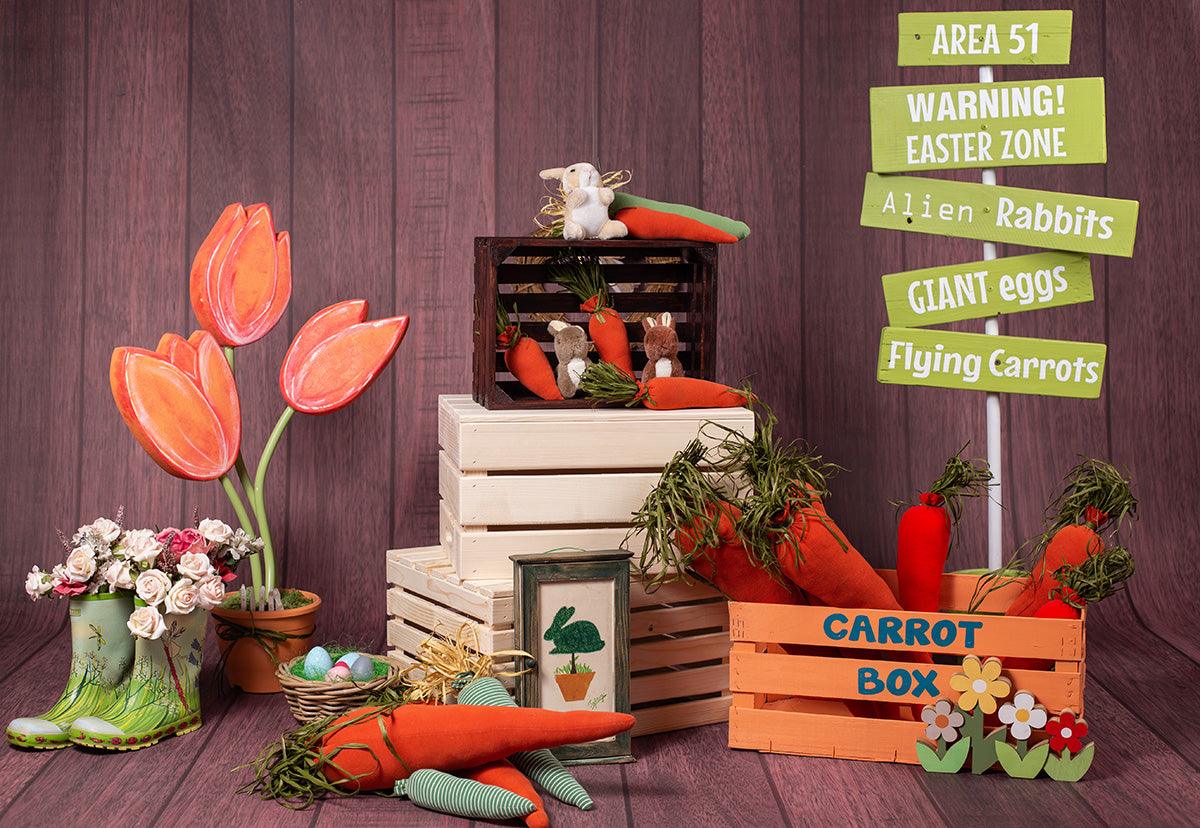 Dark Brown Wood Wall Carrot Box Easter Backdrops