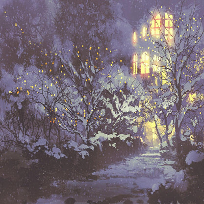 Night of Snow Photography Backdrops