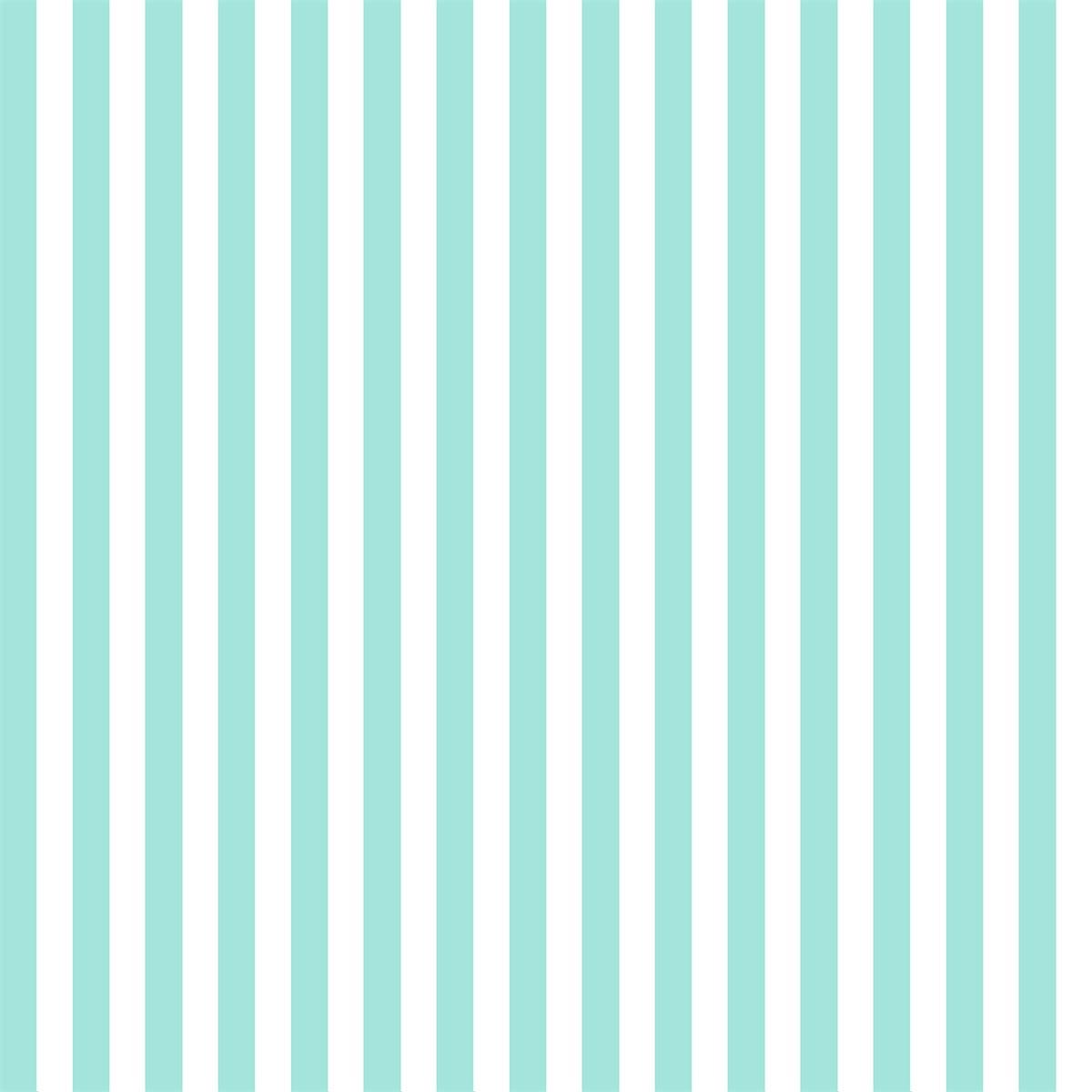 White and Mint Stripe Photo Background Backdrop