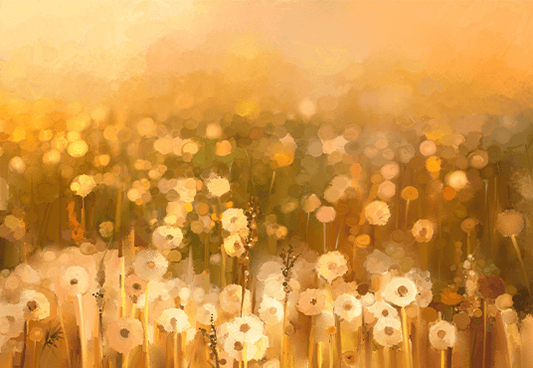Oil Painting Floral Daisy-chamomile Flowers Vintage Backdrop for Photography Photo Studio SBH0023