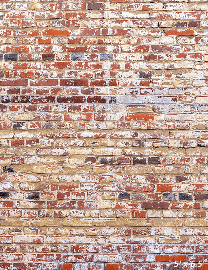 Old Red Brick Wall Backdrop for Grunge Photography SBH0327